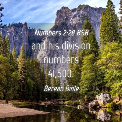 Picture 04 - Numbers 2:28 BSB - and his division numbers - Bible Verse Picture