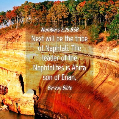 Picture 04 - Numbers 2:29 BSB - Next will be the tribe of Naphtali. The leader of - Bible Verse Picture