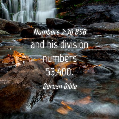 Picture 04 - Numbers 2:30 BSB - and his division numbers - Bible Verse Picture