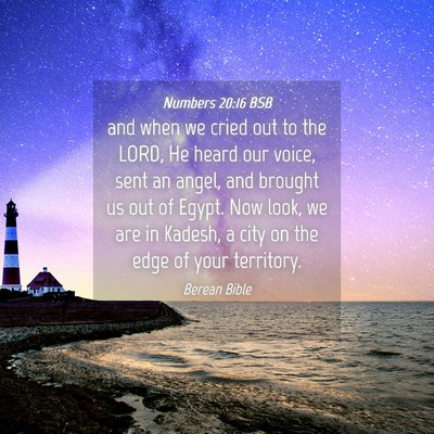 Picture 04 - Numbers 20:16 BSB - and when we cried out to the LORD, He heard our - Bible Verse Picture