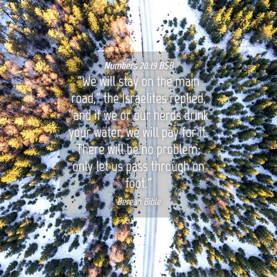 Picture 04 - Numbers 20:19 BSB - “We will stay on the main road,” the - Bible Verse Picture