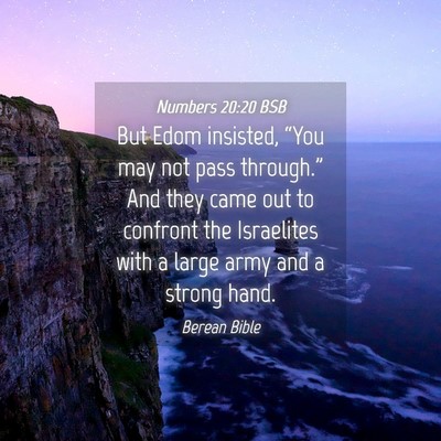 Picture 04 - Numbers 20:20 BSB - But Edom insisted, “You may not pass - Bible Verse Picture