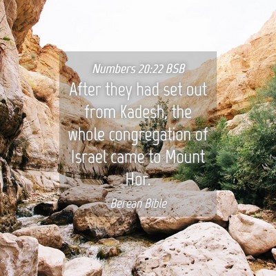 Picture 04 - Numbers 20:22 BSB - After they had set out from Kadesh, the whole - Bible Verse Picture