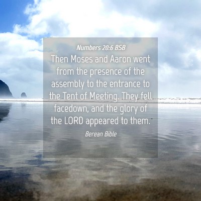 Picture 04 - Numbers 20:6 BSB - Then Moses and Aaron went from the presence of - Bible Verse Picture