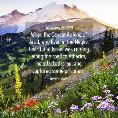 Picture 04 - Numbers 21:1 BSB - When the Canaanite king of Arad, who lived in the - Bible Verse Picture