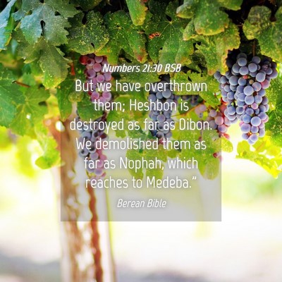 Picture 04 - Numbers 21:30 BSB - But we have overthrown them; Heshbon is destroyed - Bible Verse Picture
