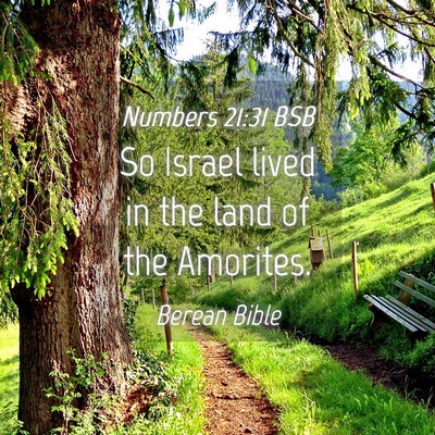Picture 04 - Numbers 21:31 BSB - So Israel lived in the land of the - Bible Verse Picture