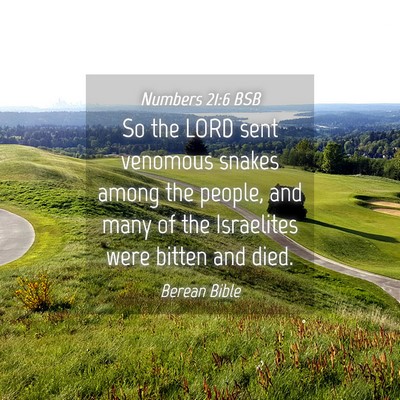 Picture 04 - Numbers 21:6 BSB - So the LORD sent venomous snakes among the - Bible Verse Picture