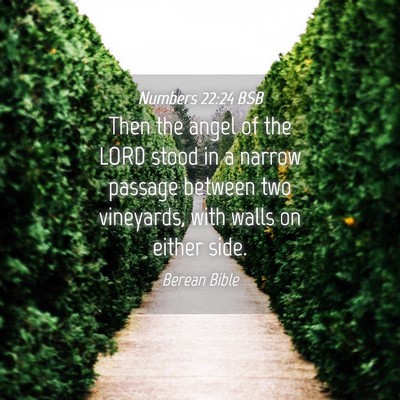 Picture 04 - Numbers 22:24 BSB - Then the angel of the LORD stood in a narrow - Bible Verse Picture