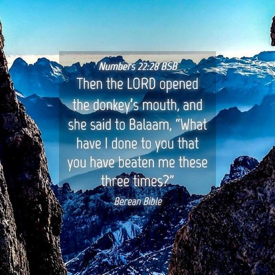 Picture 04 - Numbers 22:28 BSB - Then the LORD opened the donkey’s mouth, and - Bible Verse Picture
