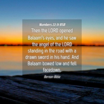Picture 04 - Numbers 22:31 BSB - Then the LORD opened Balaam’s eyes, and he saw - Bible Verse Picture