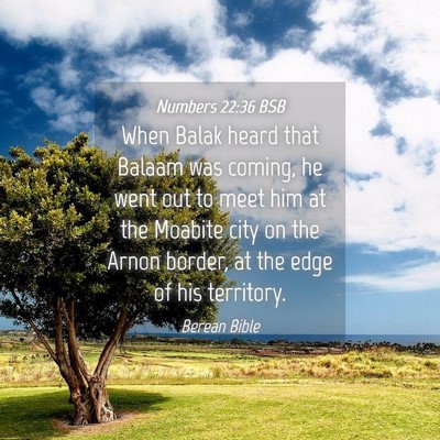 Picture 04 - Numbers 22:36 BSB - When Balak heard that Balaam was coming, he went - Bible Verse Picture