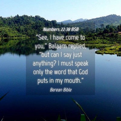 Picture 04 - Numbers 22:38 BSB - “See, I have come to you,” Balaam replied, - Bible Verse Picture