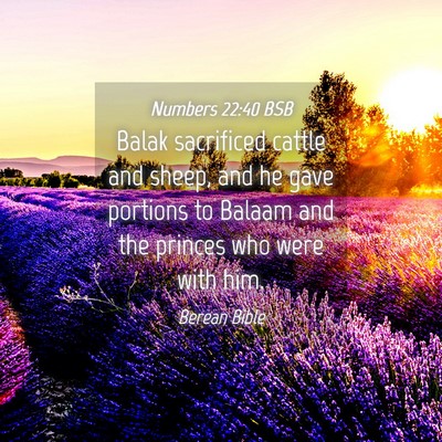 Picture 04 - Numbers 22:40 BSB - Balak sacrificed cattle and sheep, and he gave - Bible Verse Picture