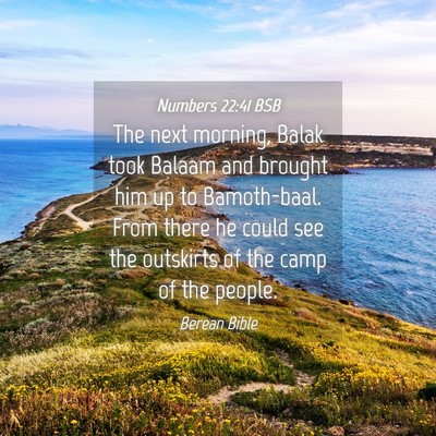 Picture 04 - Numbers 22:41 BSB - The next morning, Balak took Balaam and brought - Bible Verse Picture