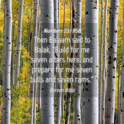 Picture 04 - Numbers 23:1 BSB - Then Balaam said to Balak, “Build for me seven - Bible Verse Picture