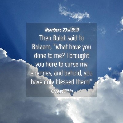 Picture 04 - Numbers 23:11 BSB - Then Balak said to Balaam, “What have you done - Bible Verse Picture