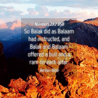 Picture 04 - Numbers 23:2 BSB - So Balak did as Balaam had instructed, and Balak - Bible Verse Picture