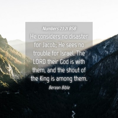 Picture 04 - Numbers 23:21 BSB - He considers no disaster for Jacob; He sees no - Bible Verse Picture