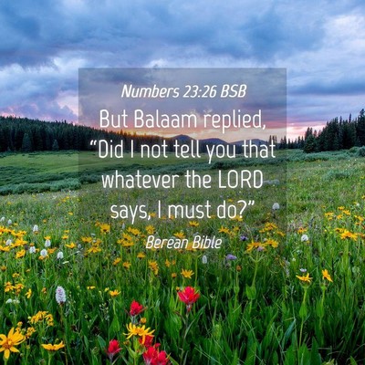 Picture 04 - Numbers 23:26 BSB - But Balaam replied, “Did I not tell you that - Bible Verse Picture