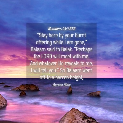 Picture 04 - Numbers 23:3 BSB - “Stay here by your burnt offering while I am - Bible Verse Picture