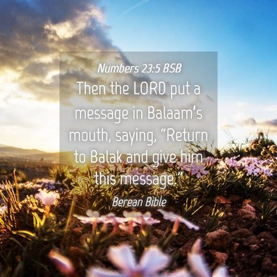 Picture 04 - Numbers 23:5 BSB - Then the LORD put a message in Balaam’s mouth, - Bible Verse Picture