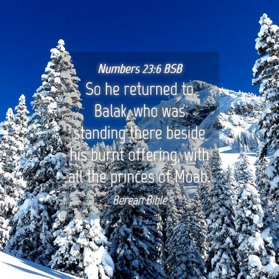 Picture 04 - Numbers 23:6 BSB - So he returned to Balak, who was standing there - Bible Verse Picture