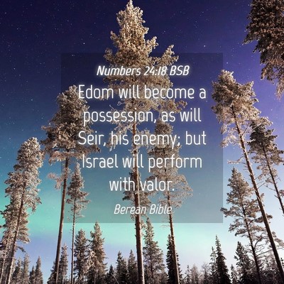 Picture 04 - Numbers 24:18 BSB - Edom will become a possession, as will Seir, his - Bible Verse Picture