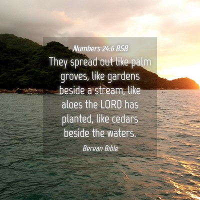 Picture 04 - Numbers 24:6 BSB - They spread out like palm groves, like gardens - Bible Verse Picture
