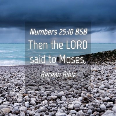 Picture 04 - Numbers 25:10 BSB - Then the LORD said to - Bible Verse Picture