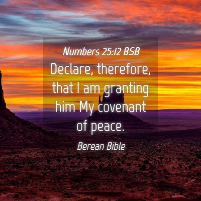 Picture 04 - Numbers 25:12 BSB - Declare, therefore, that I am granting him My - Bible Verse Picture