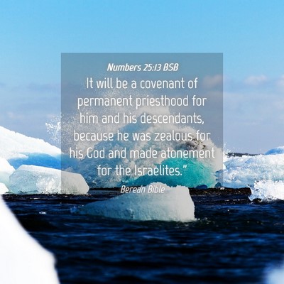 Picture 04 - Numbers 25:13 BSB - It will be a covenant of permanent priesthood for - Bible Verse Picture