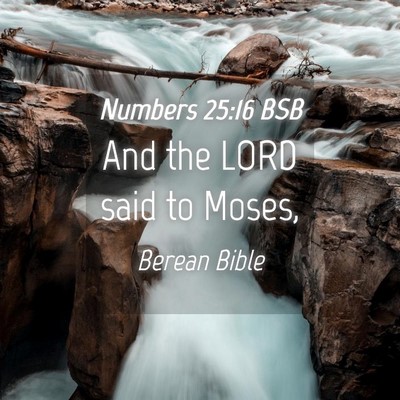 Picture 04 - Numbers 25:16 BSB - And the LORD said to - Bible Verse Picture
