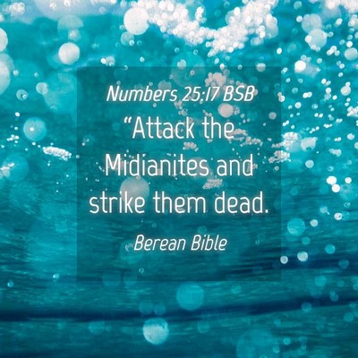 Picture 04 - Numbers 25:17 BSB - “Attack the Midianites and strike them - Bible Verse Picture
