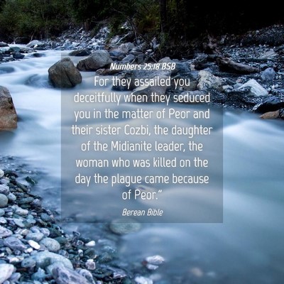 Picture 04 - Numbers 25:18 BSB - For they assailed you deceitfully when they - Bible Verse Picture