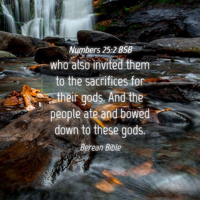 Picture 04 - Numbers 25:2 BSB - who also invited them to the sacrifices for their - Bible Verse Picture