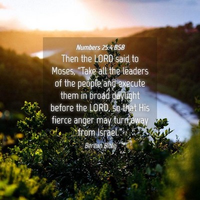 Picture 04 - Numbers 25:4 BSB - Then the LORD said to Moses, “Take all the - Bible Verse Picture