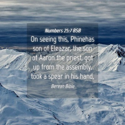 Picture 04 - Numbers 25:7 BSB - On seeing this, Phinehas son of Eleazar, the son - Bible Verse Picture