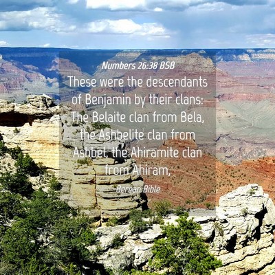 Picture 04 - Numbers 26:38 BSB - These were the descendants of Benjamin by their - Bible Verse Picture