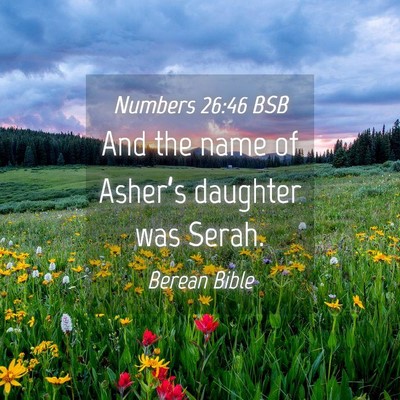 Picture 04 - Numbers 26:46 BSB - And the name of Asher’s daughter was - Bible Verse Picture