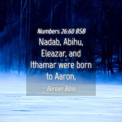 Picture 04 - Numbers 26:60 BSB - Nadab, Abihu, Eleazar, and Ithamar were born to - Bible Verse Picture