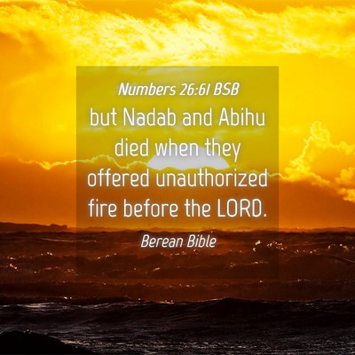 Picture 04 - Numbers 26:61 BSB - but Nadab and Abihu died when they offered - Bible Verse Picture