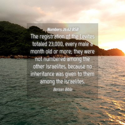 Picture 04 - Numbers 26:62 BSB - The registration of the Levites totaled 23,000, - Bible Verse Picture