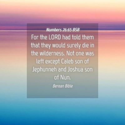 Picture 04 - Numbers 26:65 BSB - For the LORD had told them that they would surely - Bible Verse Picture
