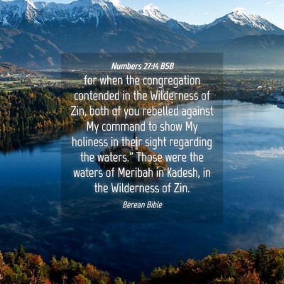 Picture 04 - Numbers 27:14 BSB - for when the congregation contended in the - Bible Verse Picture
