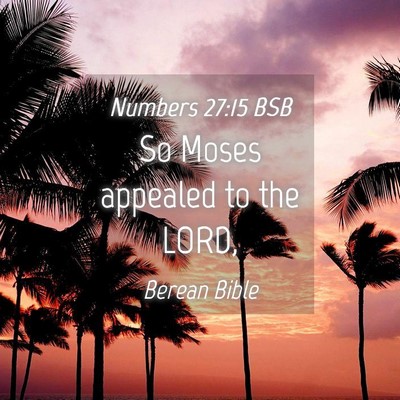 Picture 04 - Numbers 27:15 BSB - So Moses appealed to the - Bible Verse Picture