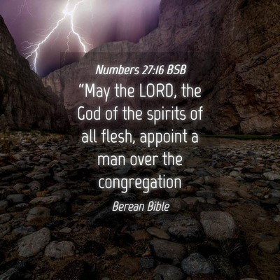 Picture 04 - Numbers 27:16 BSB - “May the LORD, the God of the spirits of all - Bible Verse Picture