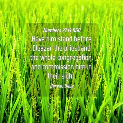 Picture 04 - Numbers 27:19 BSB - Have him stand before Eleazar the priest and the - Bible Verse Picture