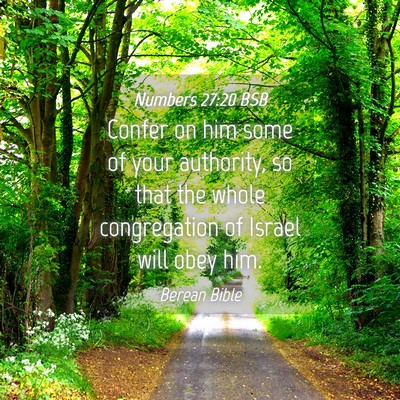 Picture 04 - Numbers 27:20 BSB - Confer on him some of your authority, so that the - Bible Verse Picture