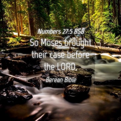 Picture 04 - Numbers 27:5 BSB - So Moses brought their case before the - Bible Verse Picture